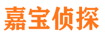 唐河侦探公司